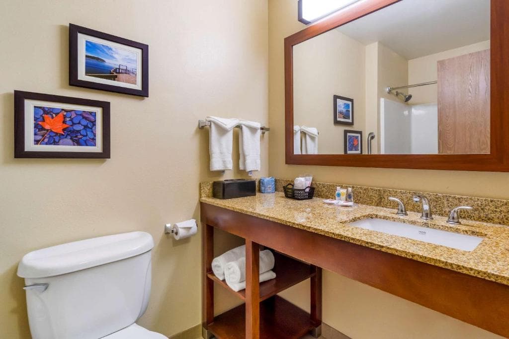Comfort Inn Auburn – Seattle