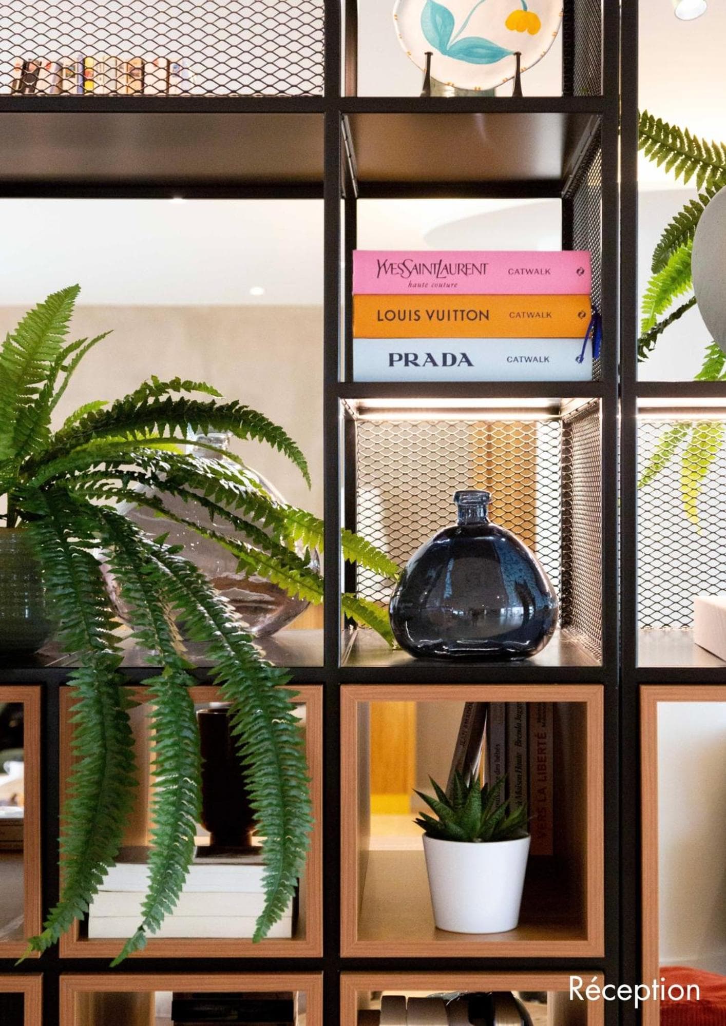 Paxton Paris MLV