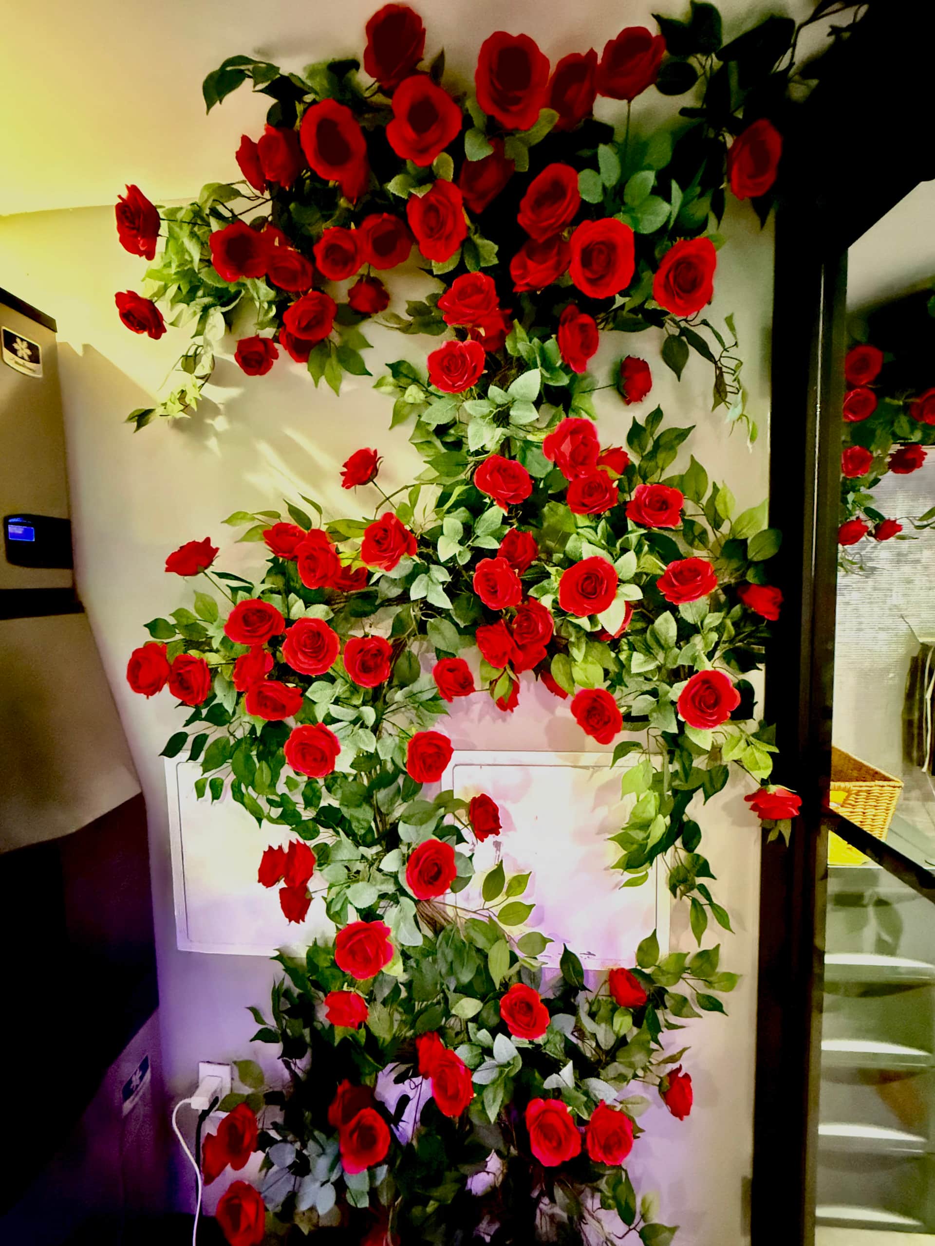 HOTEL ROSE