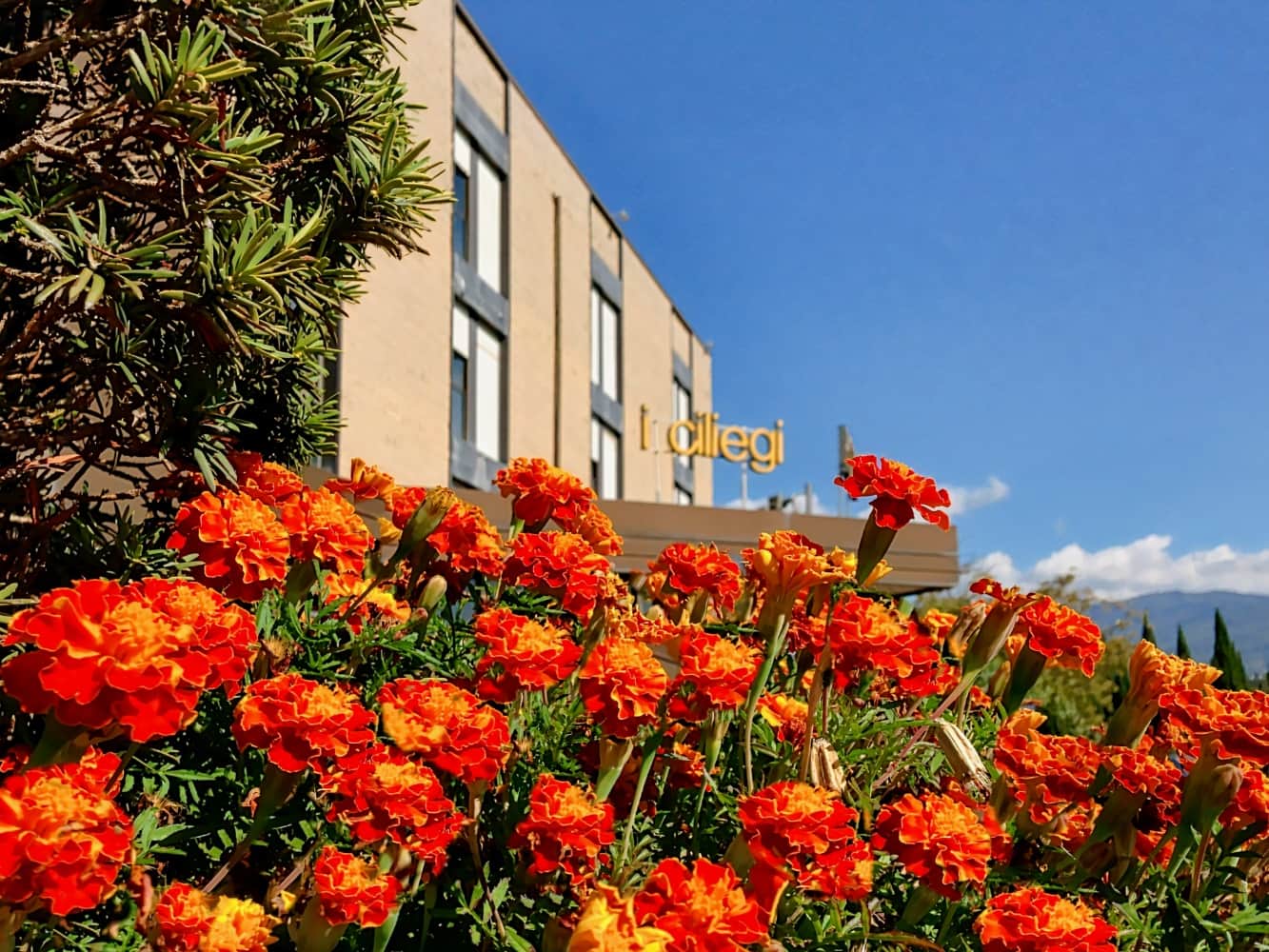 Hotel I Ciliegi