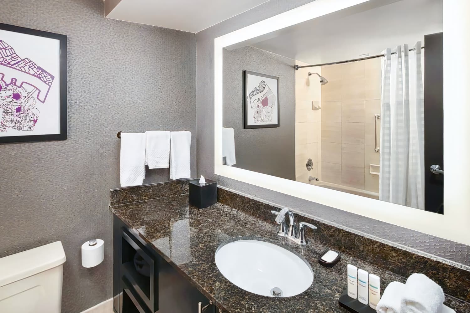 Embassy Suites by Hilton Crystal City National Airport